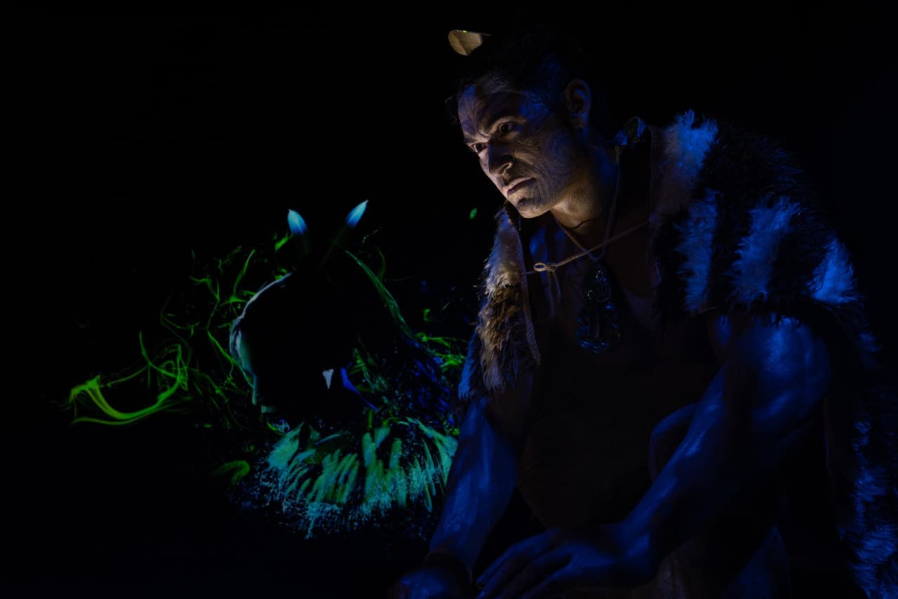 Pounamu Pathway Ticket - image 2
